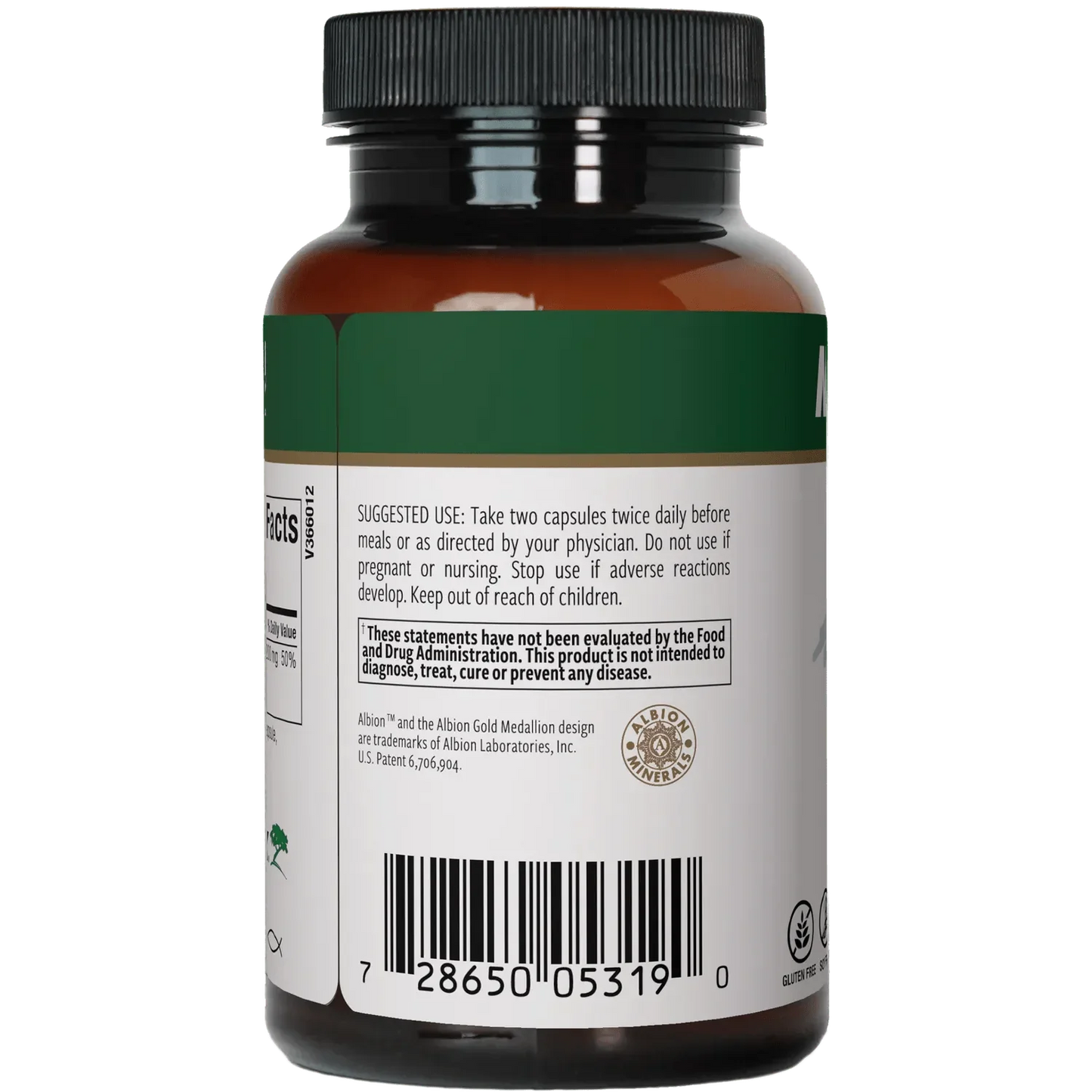 Fitness Supportᶧ Bundle